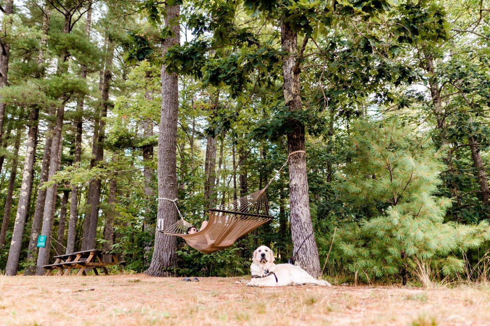 Huttopia Southern Maine Sanford Exteriér fotografie
